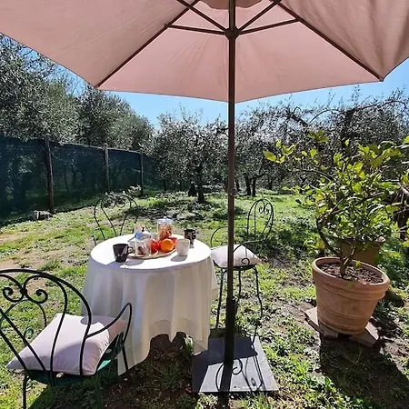Il Cantuccio Proprieta Holiday home Pescaglia